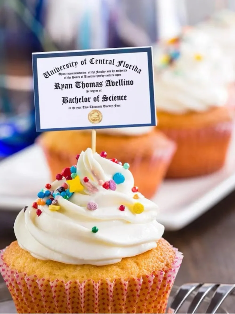 Graduation Cupcake toppers - diploma Party Toppers